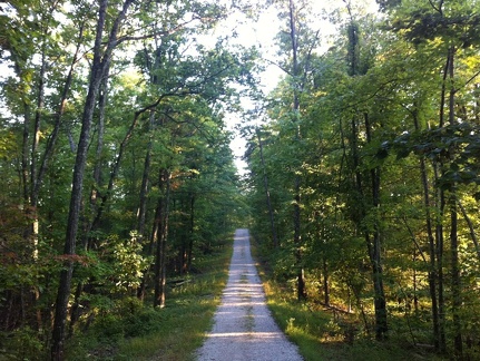 Auxier Ridge, a year after the fire